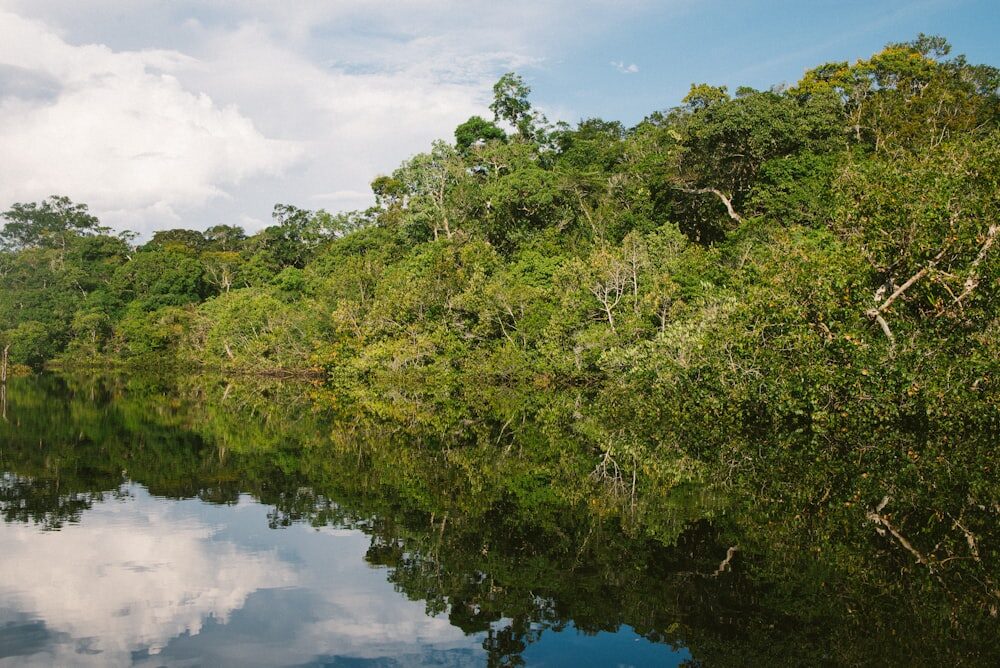 Viagem para Amazônia
